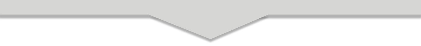 Bottom Divider Bottom Divider